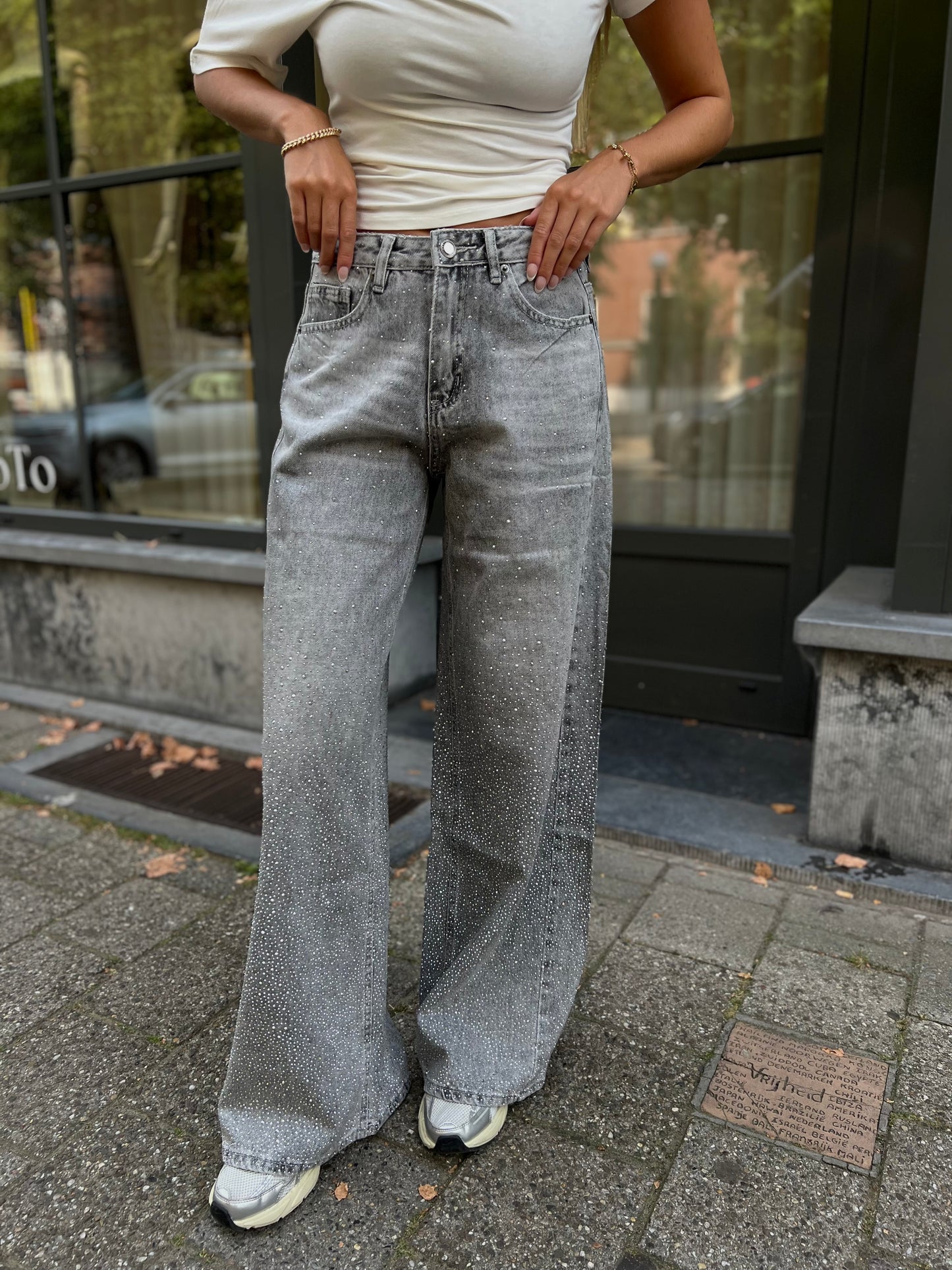 Jeans Glitter - Grijs