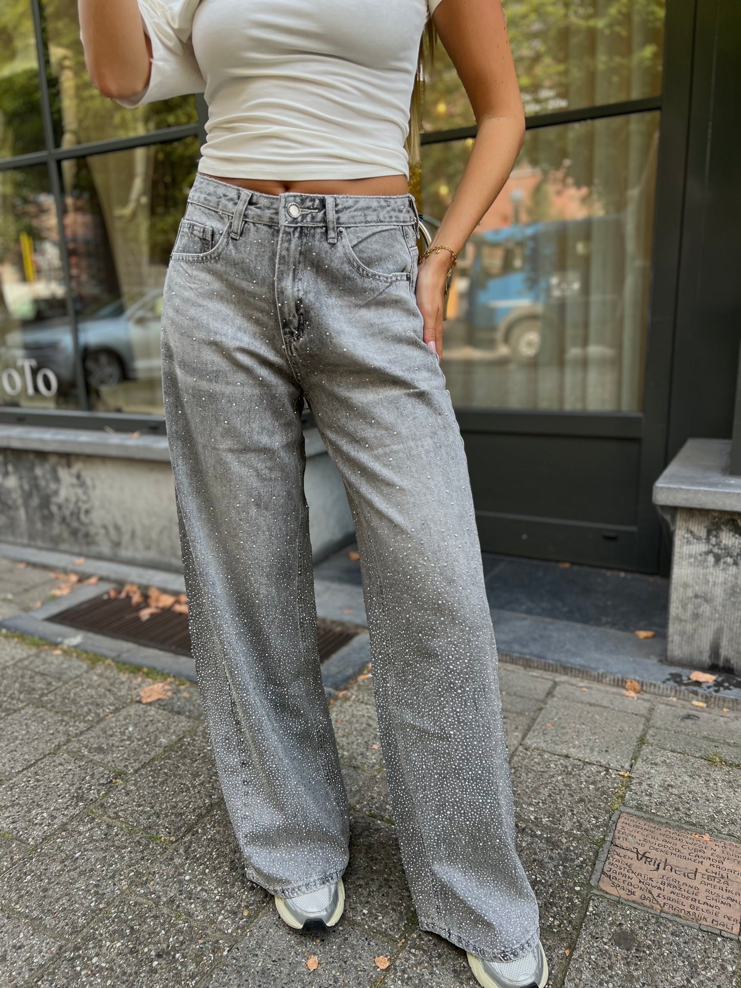 Jeans Glitter - Grijs
