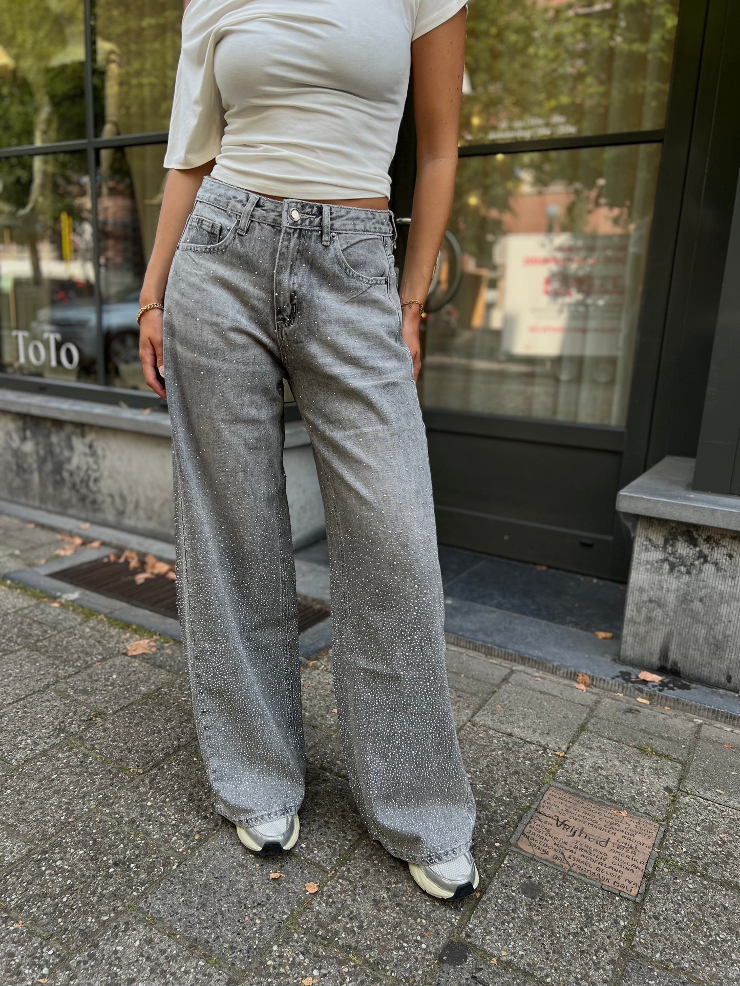 Jeans Glitter - Grijs