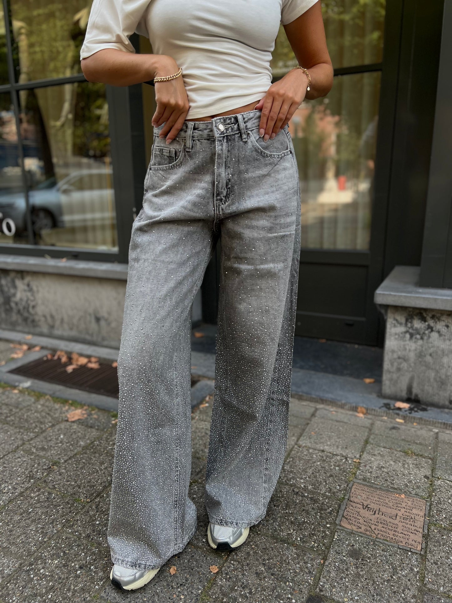 Jeans Glitter - Grijs